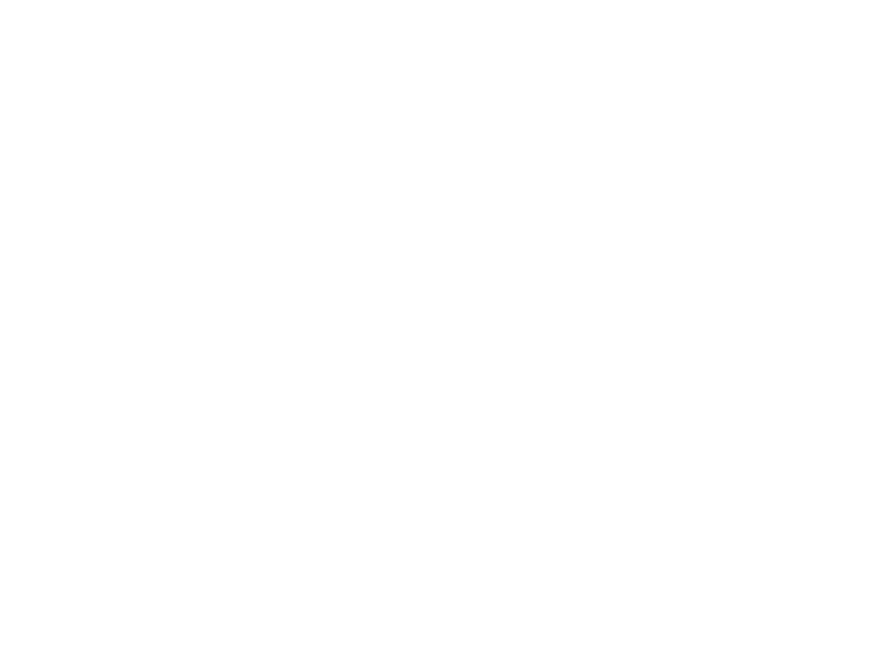 The Fritzing wordmark logo