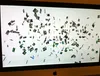 An iMac showing the animation: hundreds of small portrait photos tumbling across a white screen